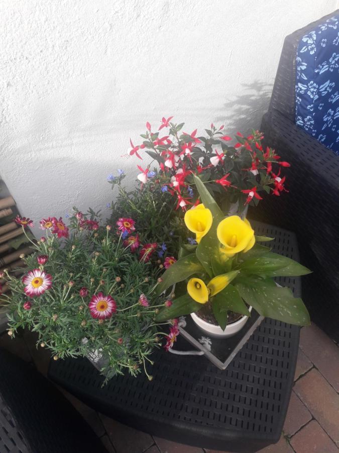 Il Borgo Dei Molini Bed & Breakfast Torreglia Bagian luar foto