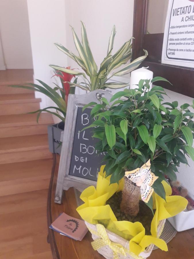 Il Borgo Dei Molini Bed & Breakfast Torreglia Bagian luar foto